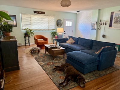 Colorado Home In Town for Sale - image 5