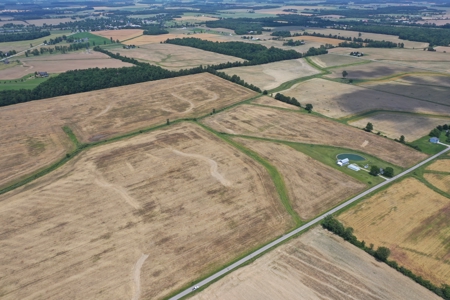 Land Auction- Thurs., Eve. Aug. 14 at 6pm - image 1