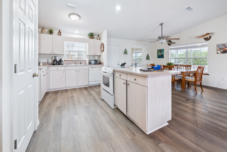 Canal Front Home For Sale in Suwannee, FL - image 30