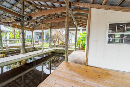 Canal Front Home For Sale in Suwannee, FL - image 10