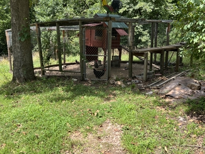 Home for sale in the Arkansas Ozarks - image 14