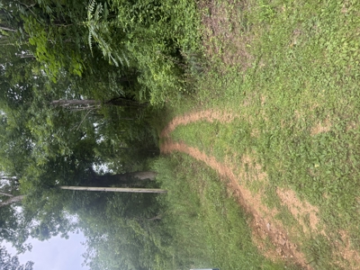 Vacant Wooded Land For Sale In Tn With Creek No Restrictions - image 8