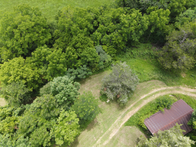 Vacant Wooded Land For Sale In Tn With Creek No Restrictions - image 16