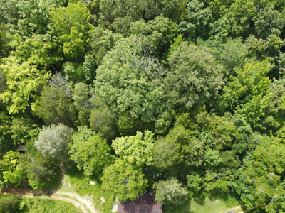 Vacant Wooded Land For Sale In Tn With Creek No Restrictions - image 13