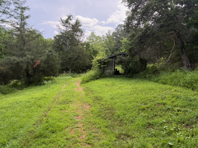 Vacant Wooded Land For Sale In Tn With Creek No Restrictions - image 6