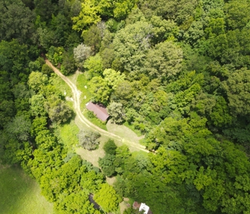 Vacant Wooded Land For Sale In Tn With Creek No Restrictions - image 14