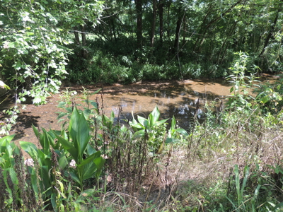 Vacant Wooded Land For Sale In Tn With Creek No Restrictions - image 17