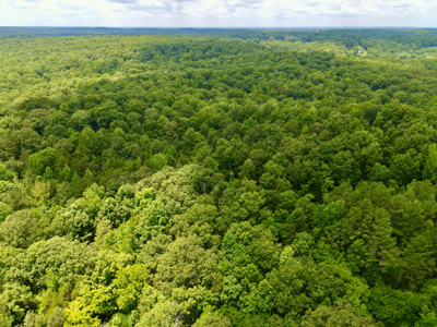 Vacant Wooded Land For Sale In Tn With Creek No Restrictions - image 7