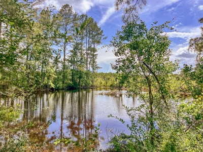 Land for Sale in Amite County, MS - image 27