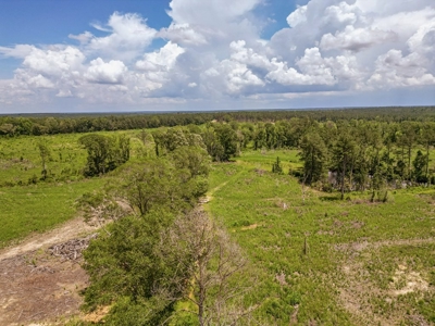 Land for Sale in Amite County, MS - image 3