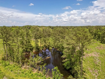 Land for Sale in Amite County, MS - image 14