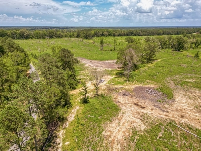 Land for Sale in Amite County, MS - image 8