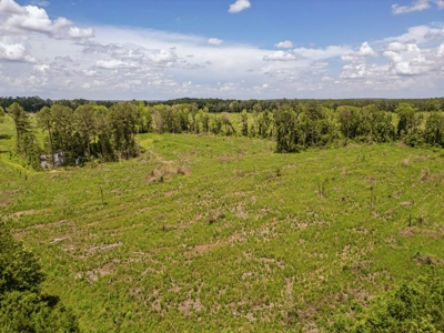 Land for Sale in Amite County, MS - image 12