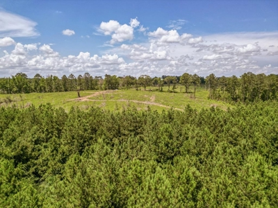 Land for Sale in Amite County, MS - image 1