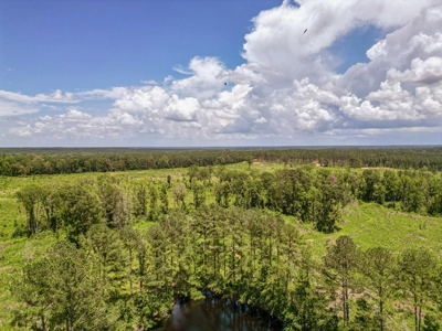 Land for Sale in Amite County, MS - image 5