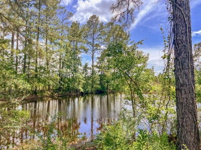 Land for Sale in Amite County, MS - image 26