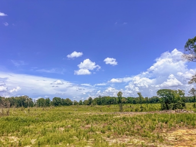 Land for Sale in Amite County, MS - image 18