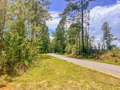 Land for Sale in Amite County, MS - image 15