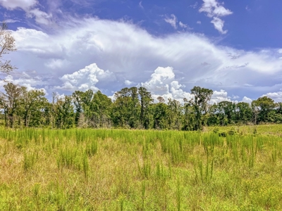 Land for Sale in Amite County, MS - image 25