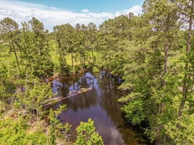 Land for Sale in Amite County, MS - image 13