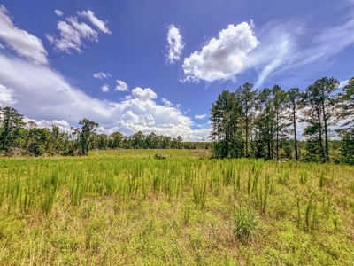 Land for Sale in Amite County, MS - image 29