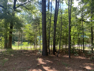 3 Bedroom Home In Town For Sale In Tn, Nice Neighborhood - image 28