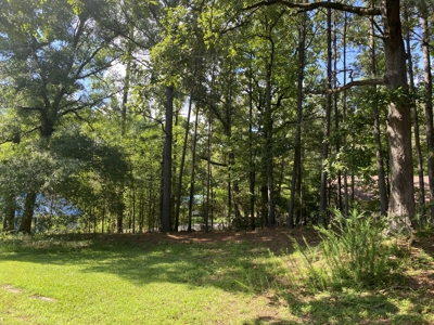 3 Bedroom Home In Town For Sale In Tn, Nice Neighborhood - image 27