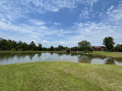 Custom Built Home w/Basement sitting on a Private 12+/- Acre Coun - image 4
