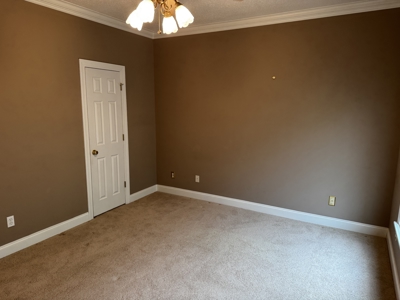 Custom Built Home w/Basement sitting on a Private 12+/- Acre Coun - image 29