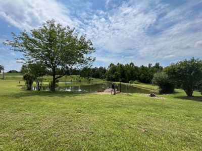 Custom Built Home w/Basement sitting on a Private 12+/- Acre Coun - image 2