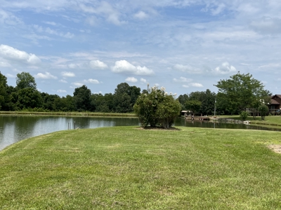 Custom Built Home w/Basement sitting on a Private 12+/- Acre Coun - image 34