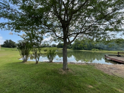 Custom Built Home w/Basement sitting on a Private 12+/- Acre Coun - image 45