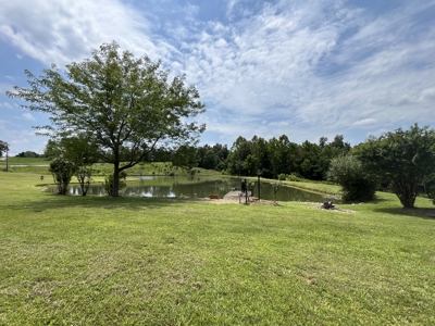 Custom Built Home w/Basement sitting on a Private 12+/- Acre Coun - image 36