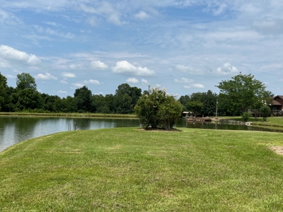 Custom Built Home w/Basement sitting on a Private 12+/- Acre Coun - image 3