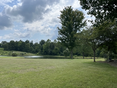 Custom Built Home w/Basement sitting on a Private 12+/- Acre Coun - image 41
