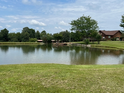 Custom Built Home w/Basement sitting on a Private 12+/- Acre Coun - image 5