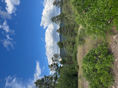 Northern New Mexico Mountain Property Near Chama NM - image 5