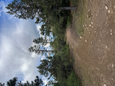 Northern New Mexico Mountain Property Near Chama NM - image 7