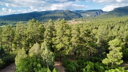 Northern New Mexico Mountain Property Near Chama NM - image 2