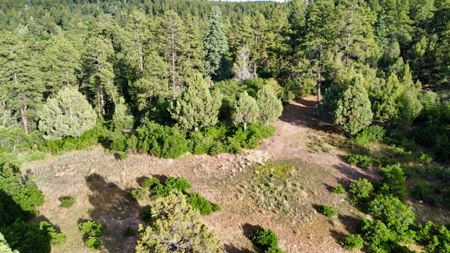 Northern New Mexico Mountain Property Near Chama NM - image 9
