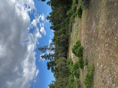 Northern New Mexico Mountain Property Near Chama NM - image 3