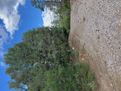Northern New Mexico Mountain Property Near Chama NM - image 8