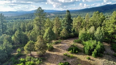 Northern New Mexico Mountain Property Near Chama NM - image 1