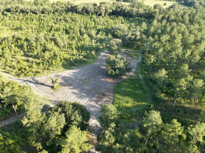 Welcome to Cypress Grove, a rare 456-ac recreation & hunting land - image 4