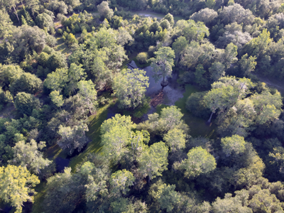 Welcome to Cypress Grove, a rare 456-ac recreation & hunting land - image 13