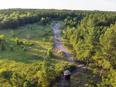 Welcome to Cypress Grove, a rare 456-ac recreation & hunting land - image 2