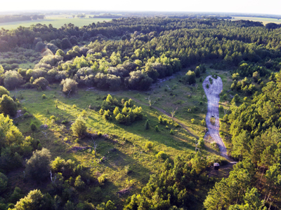 Welcome to Cypress Grove, a rare 456-ac recreation & hunting land - image 6