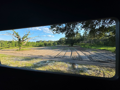 Welcome to Cypress Grove, a rare 456-ac recreation & hunting land - image 16