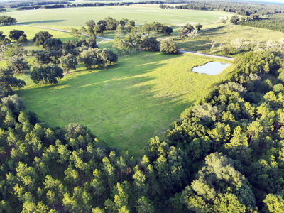 Welcome to Cypress Grove, a rare 456-ac recreation & hunting land - image 3