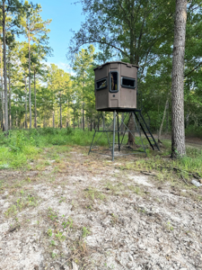 Welcome to Cypress Grove, a rare 456-ac recreation & hunting land - image 17